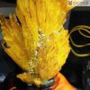 Hoa Ưu Đàm (Aragonite) Cao 5 (cm)