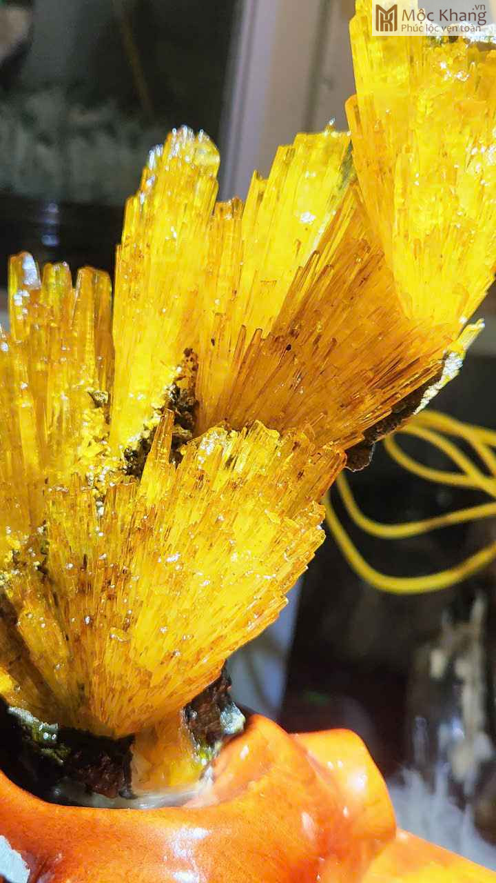 Hoa Ưu Đàm (Aragonite) Cao 5 (cm) (3)_4 Hoa Uu Dam Aragonite Cao 5 cm 3 4