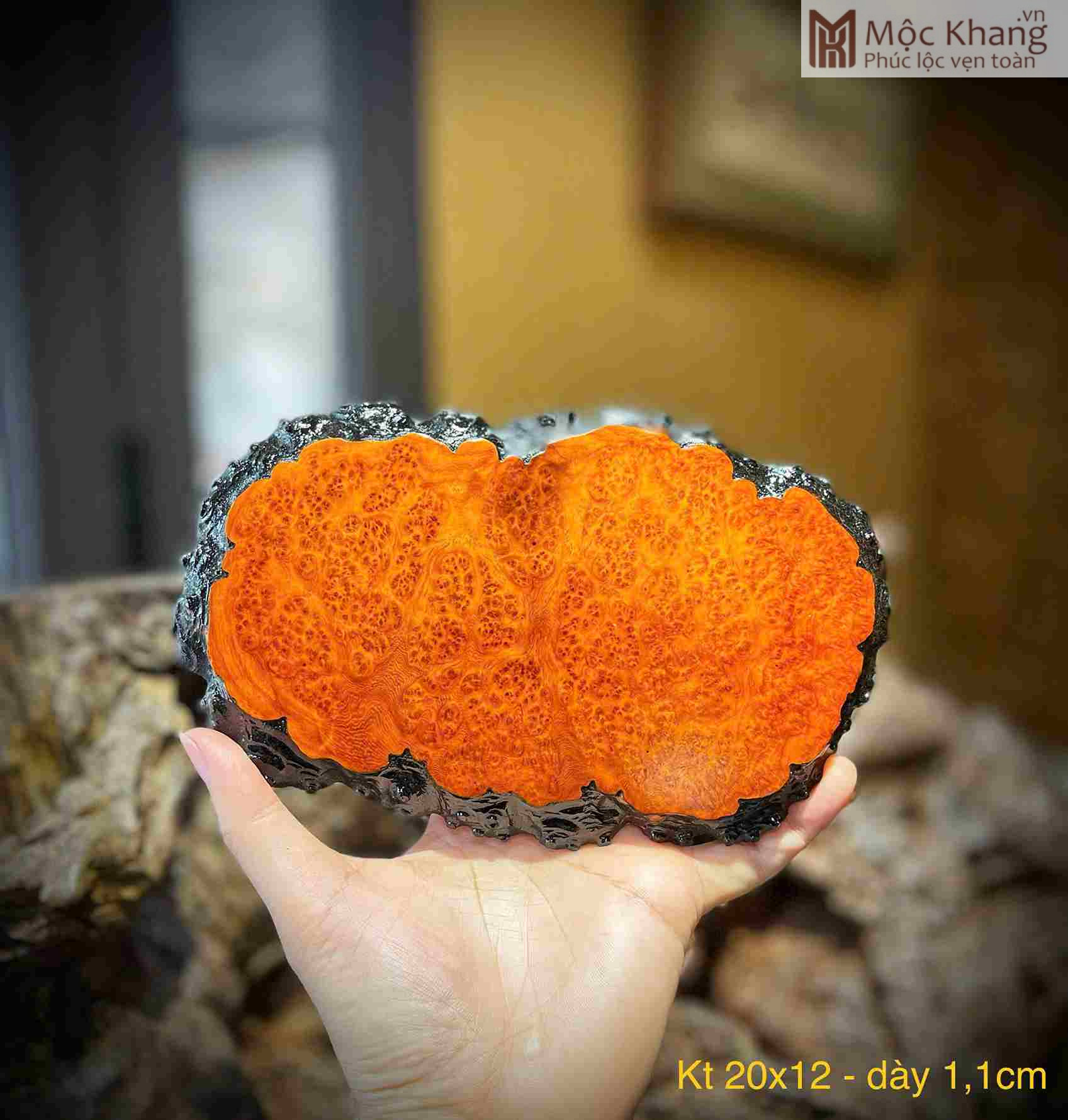 Khay Trà Gỗ Nu Hương Ngang 22 (cm) (4)_4 Khay Tra Go Nu Huong Ngang 22 cm 4 4