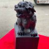 Lan Su Kim Tien Go Trac Cao 18 cm 3 3
