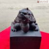 Long Quy Go Trac Den Cao 14 cm 5 5