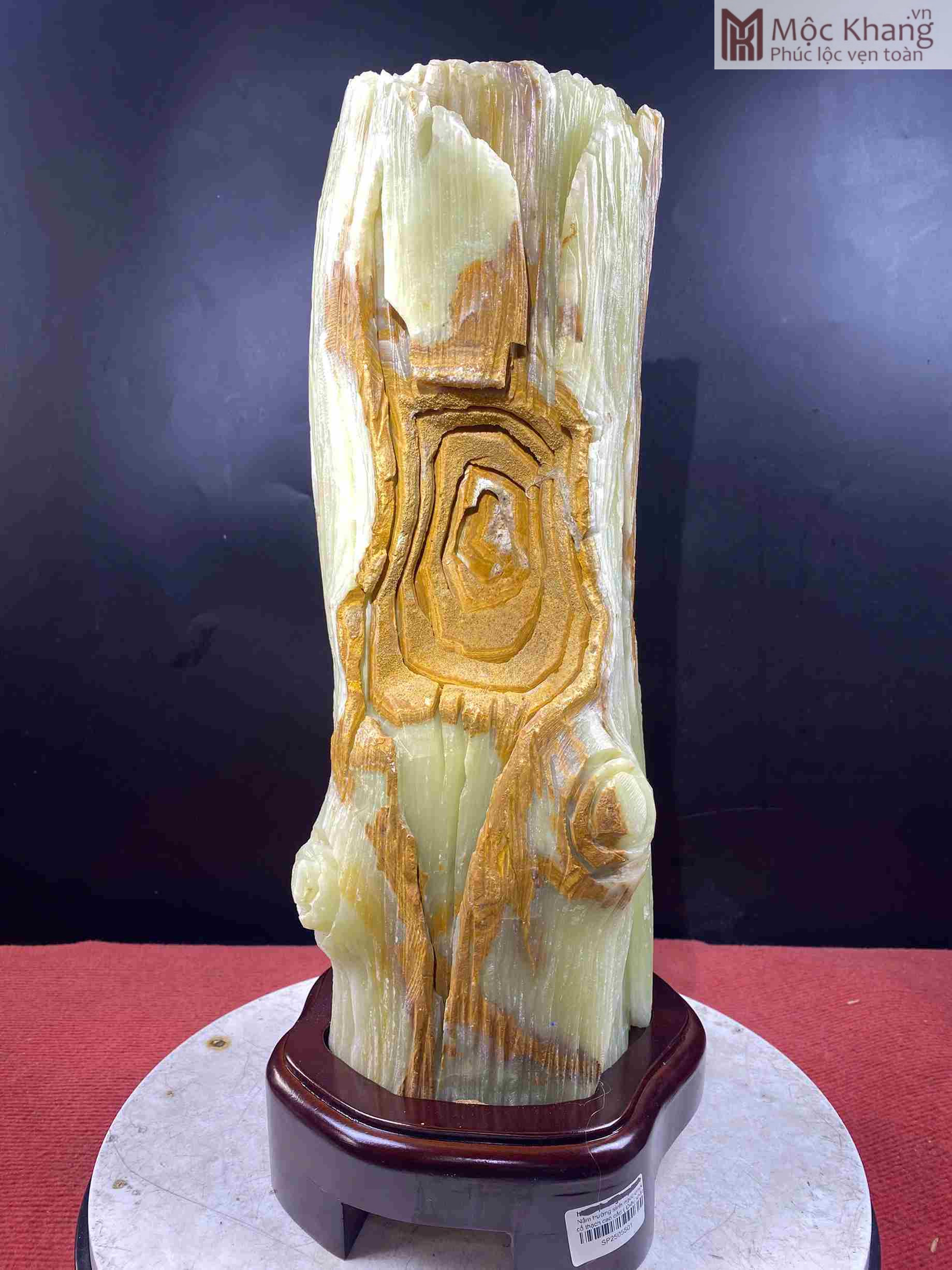 Nấm Trường Sinh Ngọc Onyx Cao 18 (cm) (4)_4 Nam Truong Sinh Ngoc Onyx Cao 18 cm 4 4
