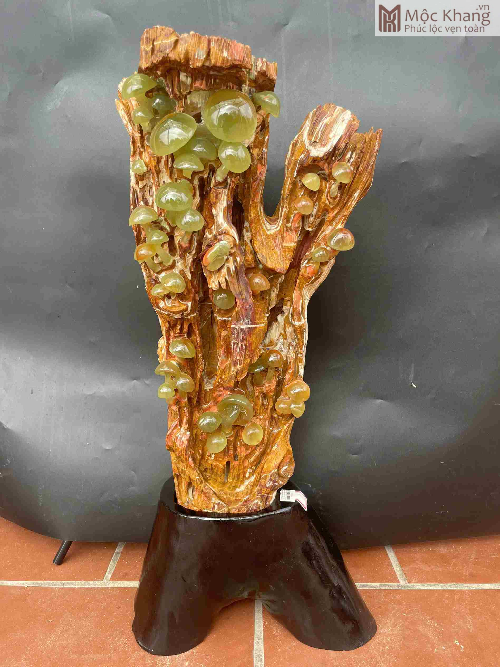 Nấm Trường Sinh Ngọc Onyx Cao 81 (cm) (1)_1 Nấm Trường Sinh Ngọc Onyx Cao 81 (cm)
