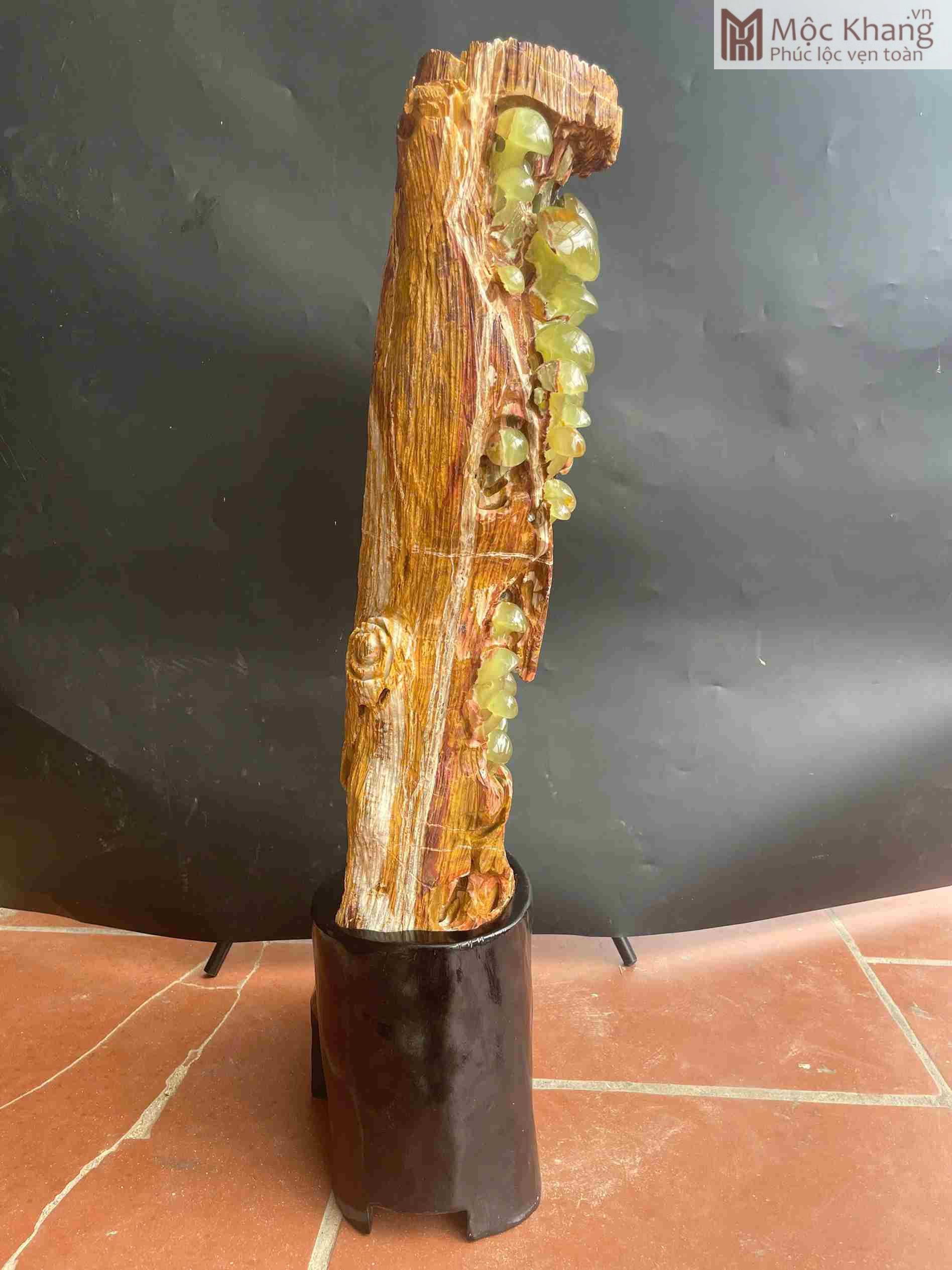 Nấm Trường Sinh Ngọc Onyx Cao 81 (cm) (3)_3 Nam Truong Sinh Ngoc Onyx Cao 81 cm 3 3