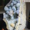 Ổ Rồng Aquamarine Kết Tinh Hoa Ưu Đàm Cao 32 (cm)