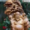 Than Tai Gia Gia Go Bach Xanh Cao 70 cm 3 3