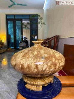 Chum Nu Nghiến
