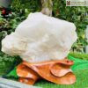 Tinh Thể Thạch Anh Trắng Cao 42 (cm)
