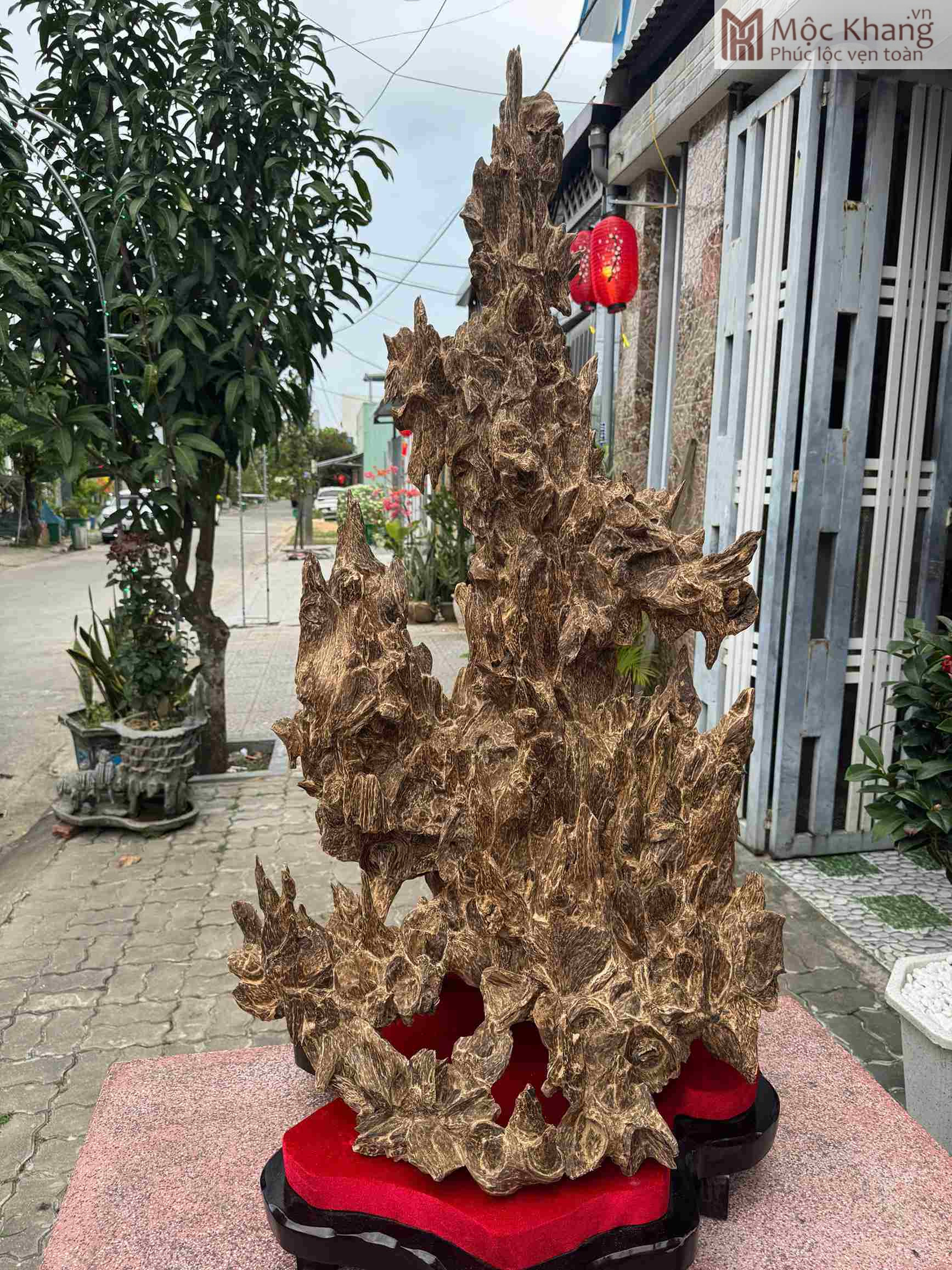 Trầm Cảnh Khánh Hòa Tự Nhiên Cao 120 (cm) (1)_1 Trầm Cảnh Khánh Hòa Tự Nhiên Cao 120 (cm)