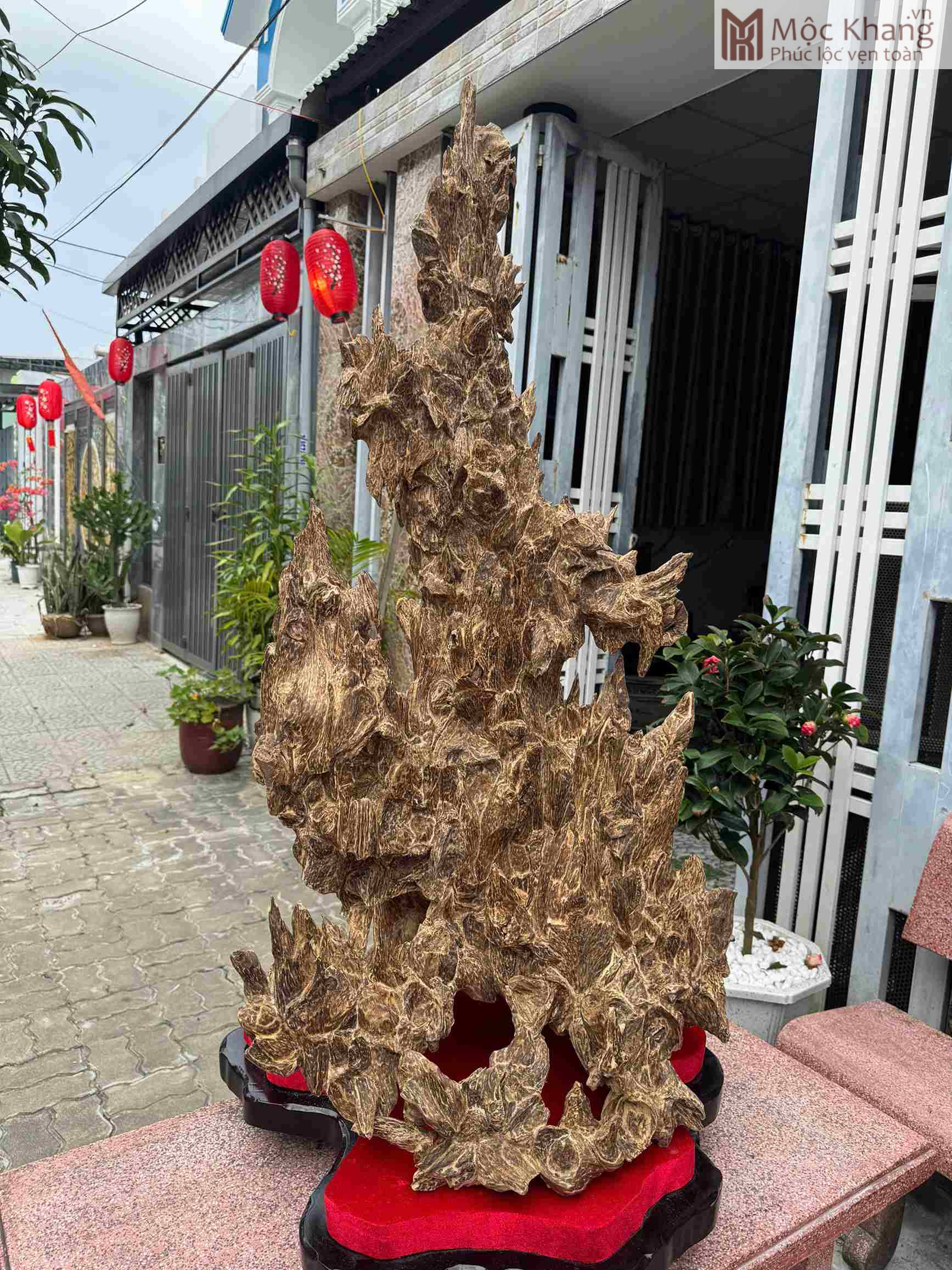 Trầm Cảnh Khánh Hòa Tự Nhiên Cao 120 (cm) (4)_4 Trầm Cảnh Khánh Hòa Tự Nhiên Cao 120 (cm)