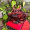 Tuong Coc Hoa Rong Go Trac Cao 26 cm 2 2
