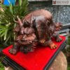 Tuong Long Quy Go Nu Trac Cao 18 cm 4 4