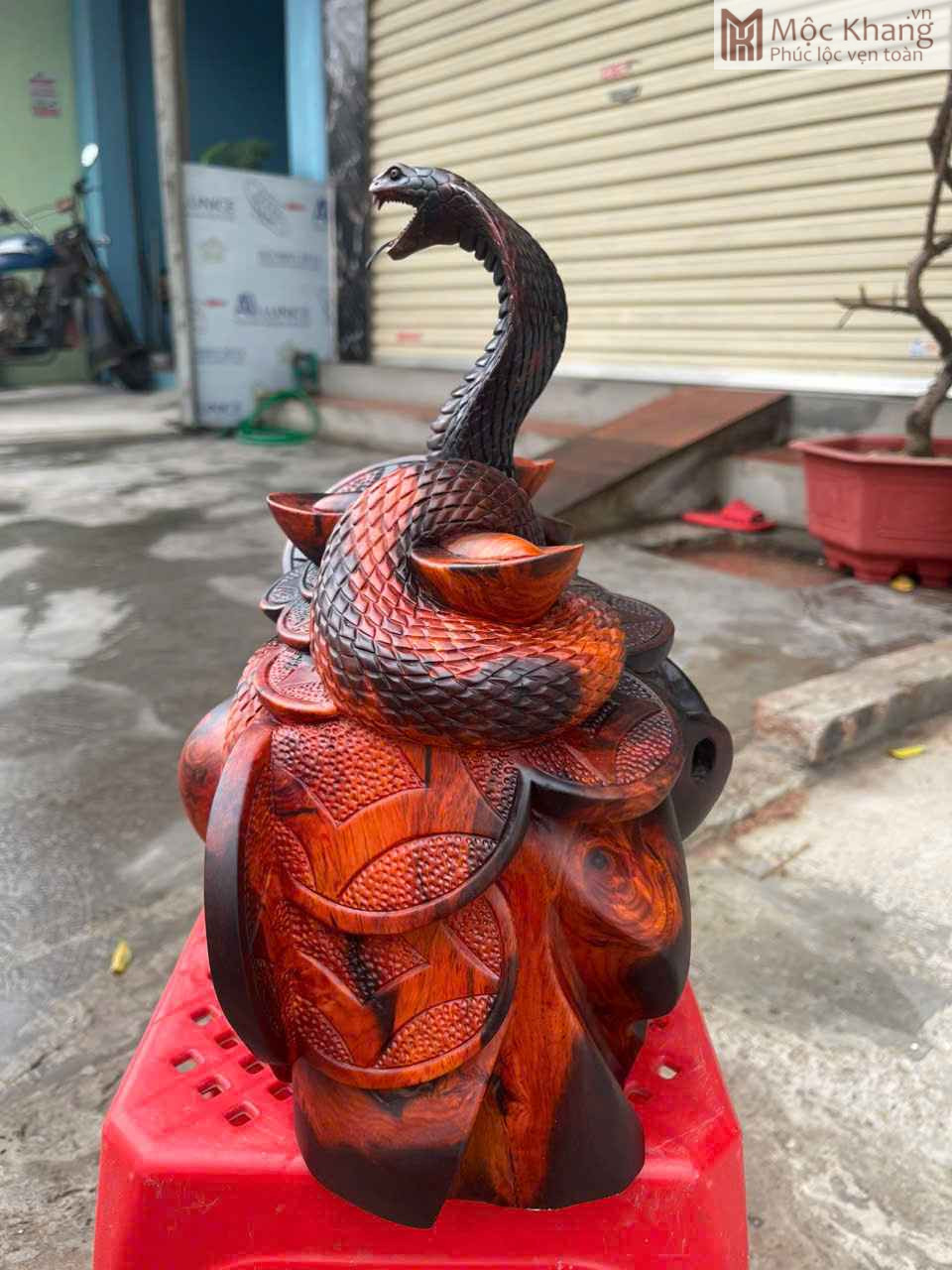 Tượng Rắn Gỗ Trắc Đỏ Đen Cao 34 (cm) (2)_2 Tượng Rắn Gỗ Trắc Đỏ Đen Cao 34 (cm)