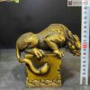 An Trien Ky Lan Cao 15 cm 4 4