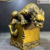 An Trien Ky Lan Cao 15 cm 6 6