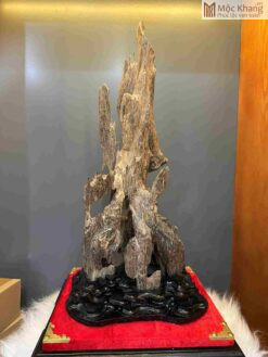 Cảnh Trầm Hương Tự Nhiên Cao 48 (cm)