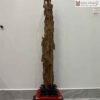 Cảnh Trầm Tự Nhiên Cao 134 (cm)
