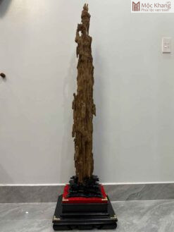 Cảnh Trầm Tự Nhiên Cao 134 (cm)