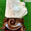 Gỗ Hóa Ngọc Cao 48 (cm)
