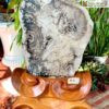 Gỗ Hóa Ngọc Vân Đồng Tâm Cao 43 (cm)