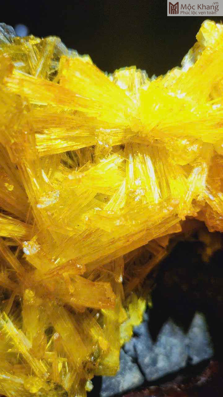 Hoa Ưu Đàm (Đá Aragonite) Cao 17 (cm) (1)_1