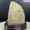 Hoc Dong Thach Anh Tim Cao 19 cm 3 3 5