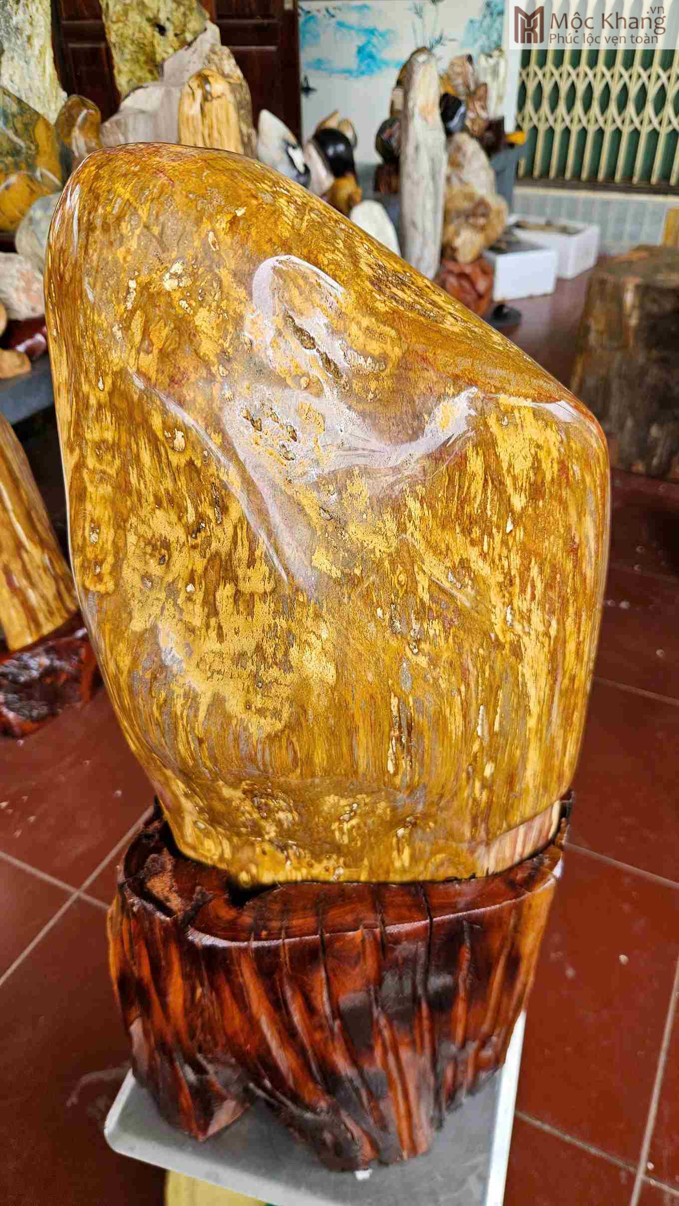Viên Gỗ Hóa Thạch Vàng Ánh Kim Cao 70 (cm) (2)_2