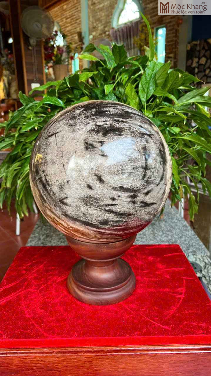Bi Cầu Gỗ Hoá Thạch Đường Kính 26(cm) (2) bi-cau-go-hoa-thach-duong-kinh-26cm