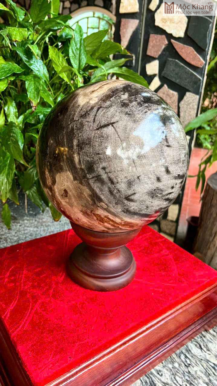 Bi Cầu Gỗ Hoá Thạch Đường Kính 26(cm) (4) bi-cau-go-hoa-thach-duong-kinh-26cm