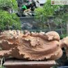 bap-cai-phong-thuy-go-huong-cao-62cm