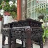 cap-don-sen-ca-go-gu-cao-60cm
