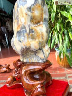 Cây Gỗ Hoá Ngọc Vân Loang Cao 56(cm)
