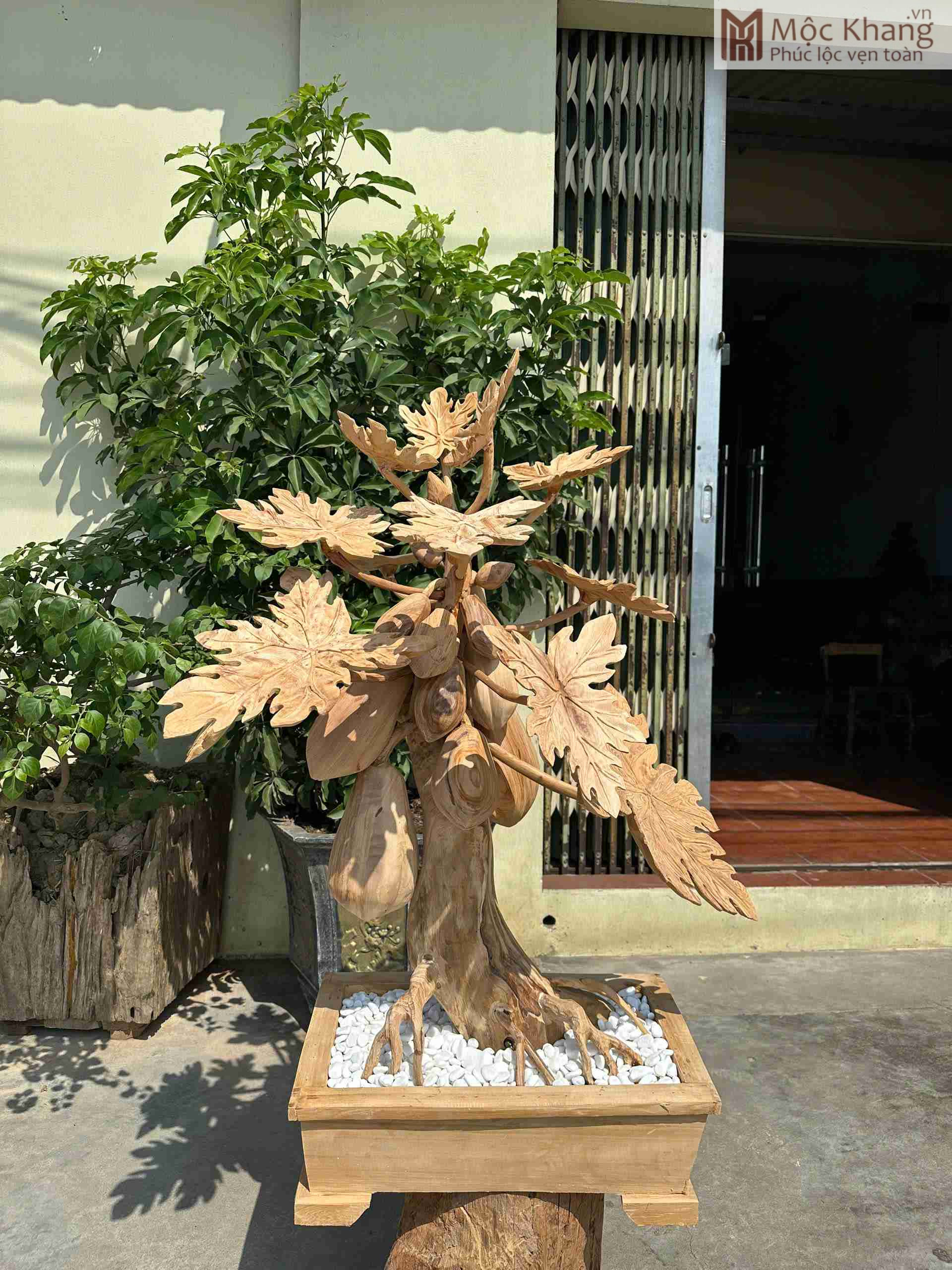 chau-du-du-go-ngoc-am-cao-110cm (1) chau-du-du-go-ngoc-am-cao-110cm