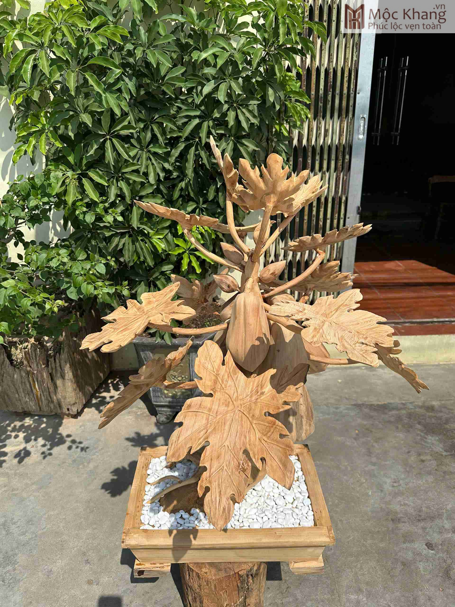 chau-du-du-go-ngoc-am-cao-110cm (4) chau-du-du-go-ngoc-am-cao-110cm