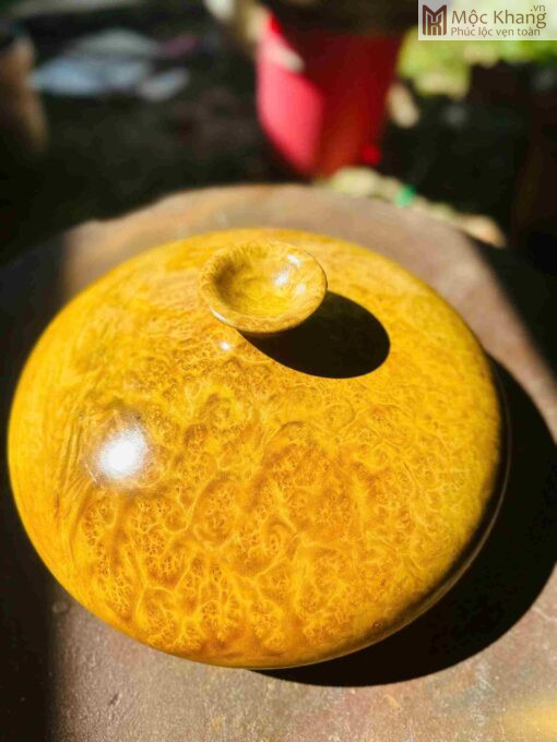 Chum Phú Quý Gỗ Kháo Vàng Đường Kính 30(cm)