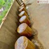 don-ke-mat-nu-nghien-duong-kinh-35cm