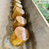 don-ke-mat-nu-nghien-duong-kinh-35cm