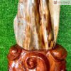 Gỗ Hoá Thạch Cao 46(cm)