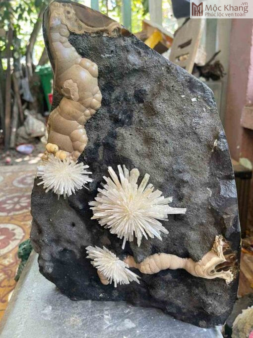 Hoa Đá Tự Nhiên Cao 39(Cm)