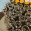 hop-nhang-tram-huong-25gr