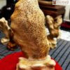 Phôi Gỗ Ngọc Am