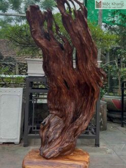 Sụn Ngọc Am Cao 150(cm)