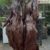 sun-ngoc-am-cao-150cm