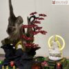 tieu-canh-bonsai-tram-huong-cao-50cm