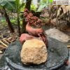 tieu-canh-go-huong-ta-om-da-cao-30cm