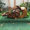 tieu-canh-que-huong-go-bach-xanh-rong-80cm