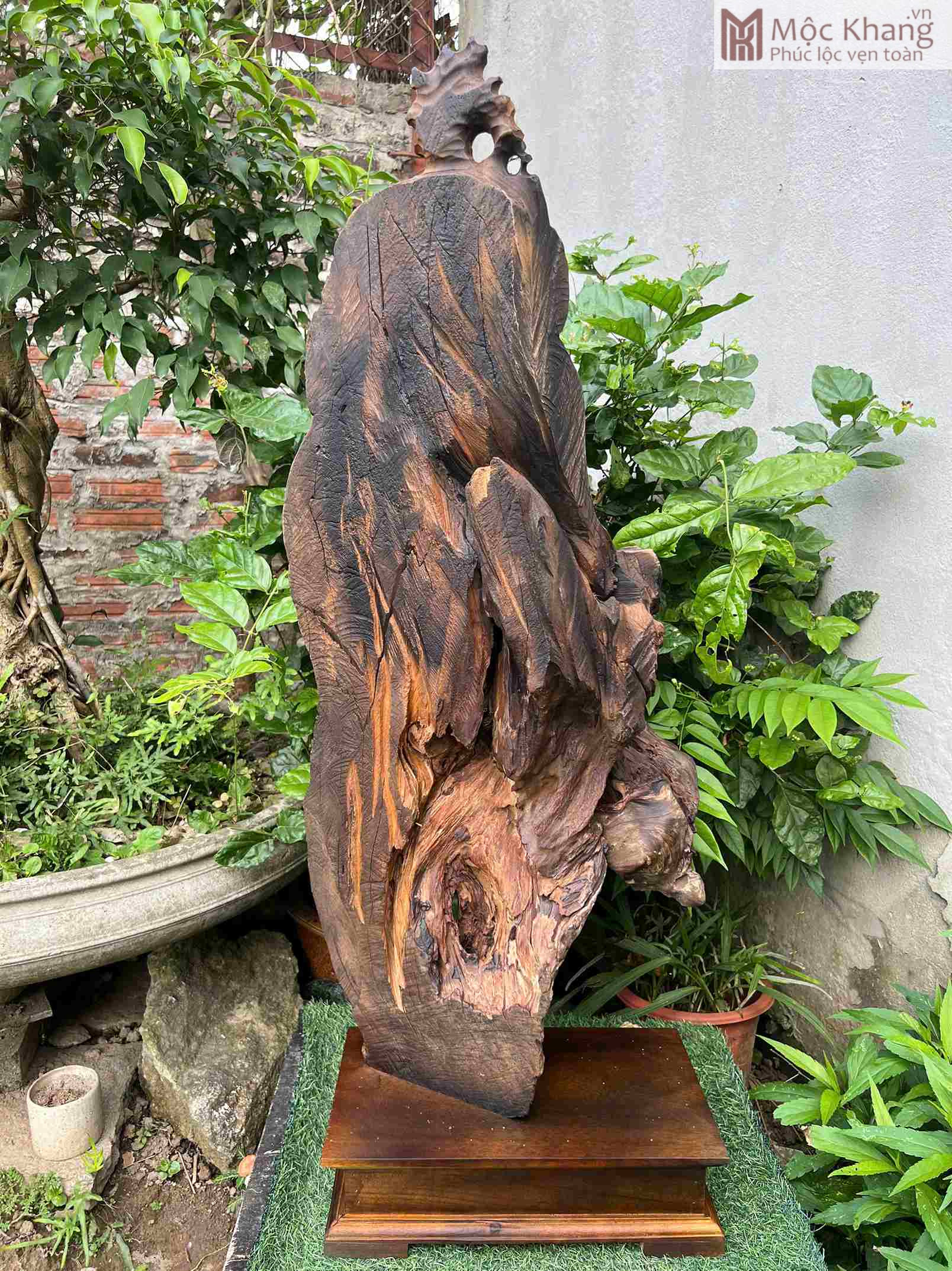 tuong-dat-ma-go-bach-xanh-cao-90cm (2) tuong-dat-ma-go-bach-xanh-cao-90cm