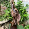 tuong-dat-ma-go-bach-xanh-cao-90cm