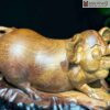 tuong-heo-go-sun-huong-ta-cao-64cm