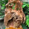 tuong-nho-soc-u-sun-go-pomu-cao-50cm